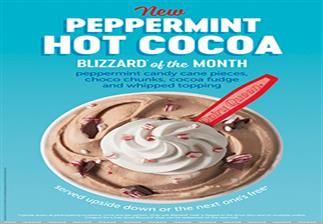Dairy Queen Store Promo