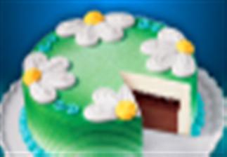 Dairy Queen Store Promo