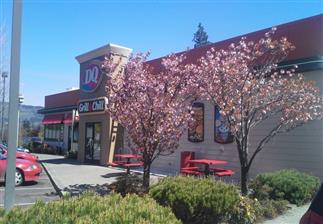 Dairy Queen Store Promo